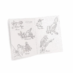 Moulin Roty Coffret Découverte Oiseaux -Moulin Roty Coffret Decouverte oiseaux Le Jardin du Moulin Moulin Roty 11