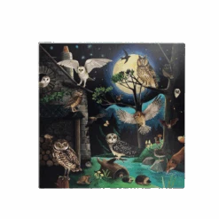 Moulin Roty Coffret Découverte Oiseaux -Moulin Roty Coffret Decouverte oiseaux Le Jardin du Moulin Moulin Roty 2