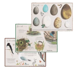 Moulin Roty Coffret Découverte Oiseaux -Moulin Roty Coffret Decouverte oiseaux Le Jardin du Moulin Moulin Roty 8