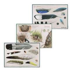 Moulin Roty Coffret Découverte Oiseaux -Moulin Roty Coffret Decouverte oiseaux Le Jardin du Moulin Moulin Roty 9