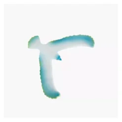 Moulin Roty L'Oiseau équilibriste Bleu