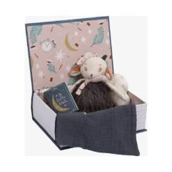 Livre Bonne Nuit Coffret Avec Peluche Après La Pluie - Moulin Roty