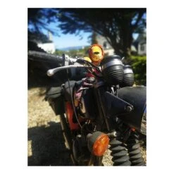 Peluche Lion Roméo - Les Broc & Roll's - Moulin Roty -Moulin Roty moulin roty peluche lion romeo les broc roll s 3