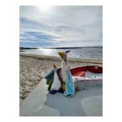 Petite Peluche Oie Plumette - Le Voyage D'Olga - Moulin Roty 13 Petite Peluche Oie Plumette - Le Voyage D'Olga - Moulin Roty -Moulin Roty moulin roty petite peluche oie plumette le voyage d olga 4