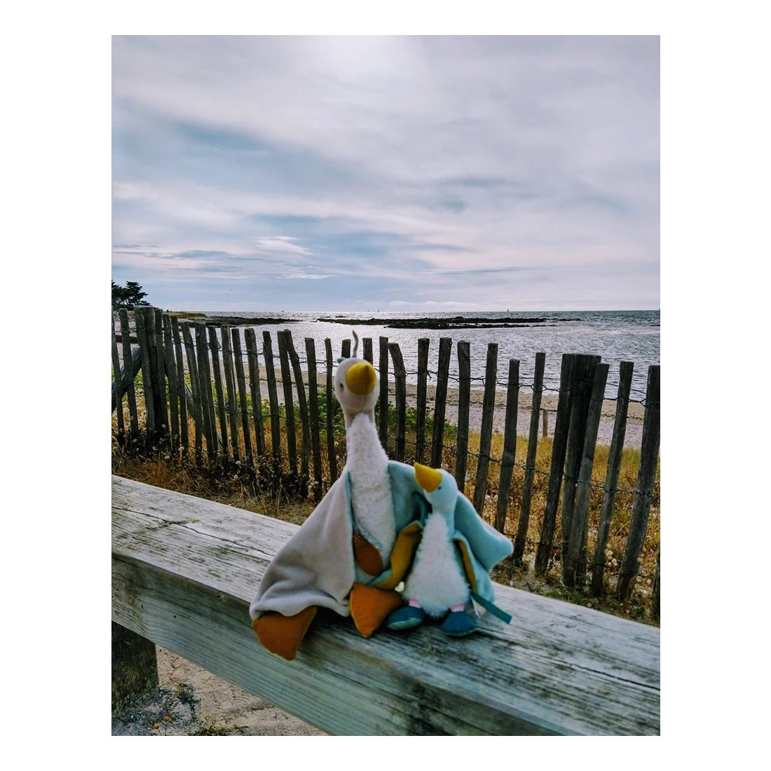 Petite Peluche Oie Plumette - Le Voyage D'Olga - Moulin Roty 8 Petite Peluche Oie Plumette - Le Voyage D'Olga - Moulin Roty – Image 6